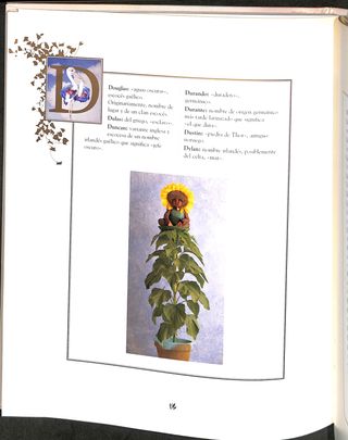 LIBRO DE LOS NOMBRES, EL