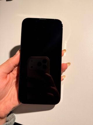 iPhone 13 Pro 256GB Grigio