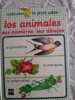 Los Animales sus Nombres sus Dibujos Frankie