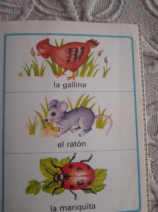 Los Animales sus Nombres sus Dibujos Frankie