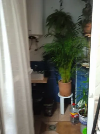 Vendo casa en Prado del Rey (Cádiz),sin desperfect