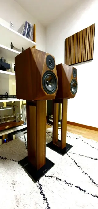 Altavoces Diapason Adamantes V + soportes de pie