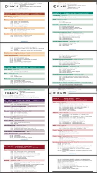 NETTER. ANATOMÍA 8 edición