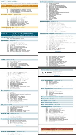 NETTER. ANATOMÍA 8 edición