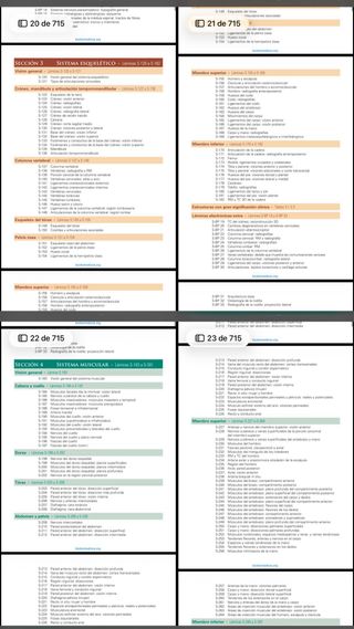 NETTER. ANATOMÍA 8 edición