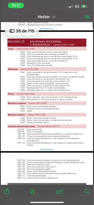 NETTER. ANATOMÍA 8 edición