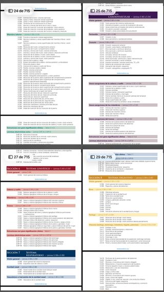 NETTER. ANATOMÍA 8 edición