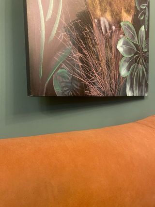 2 Cuadros Decorativos Animales Selva