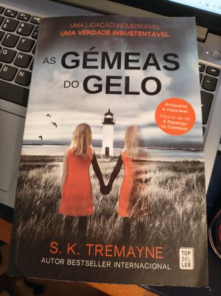As Gémeas do Gelo - S. K. Tremayne