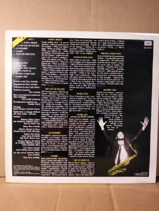 Disco vinile LP 33 giri - Enzo Avitabile