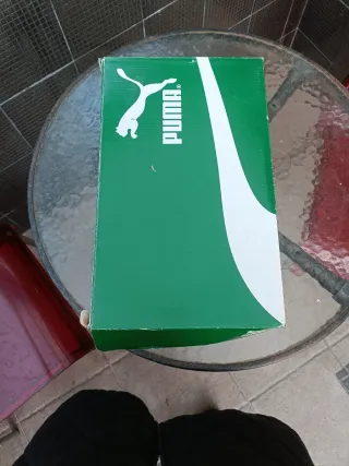 Playeros Puma Caballero Azul y Verde