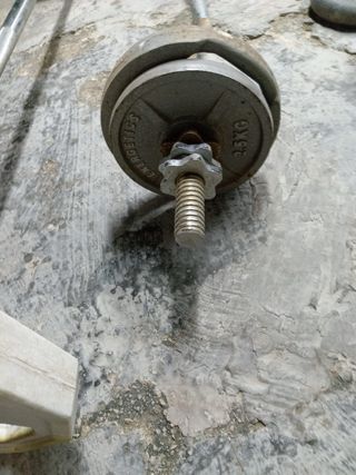 Pesas y barras de gimnasio