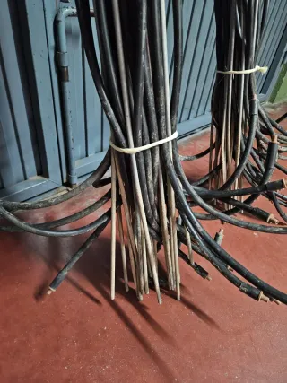 Equipo de riego para pajaritos