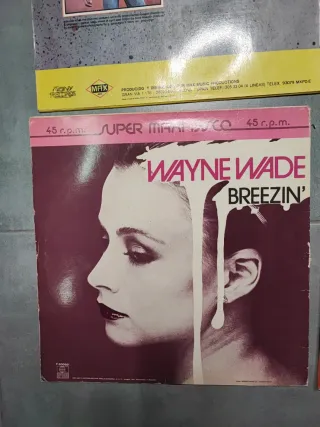 Vinilo vintage Varios Títulos. Se Venden sueltos