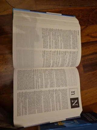 NUEVO DICCIONARIO ESENCIAL DE LA LENGUA ESPAÑOL...