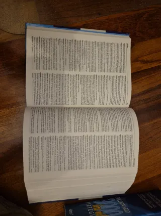 NUEVO DICCIONARIO ESENCIAL DE LA LENGUA ESPAÑOL...