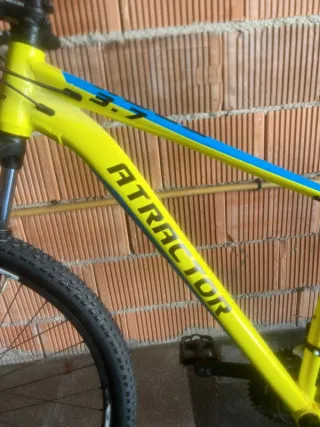 Bicicleta Montaña Attractor 3.7 29” Mountain Bike