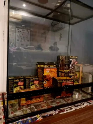 Terrario Exoterra Negro/Transparente