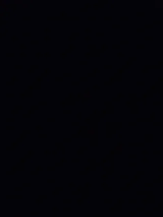 Zapatillas usadas por LeBron James