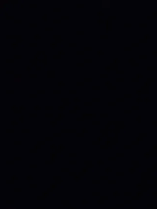 Zapatillas usadas por LeBron James