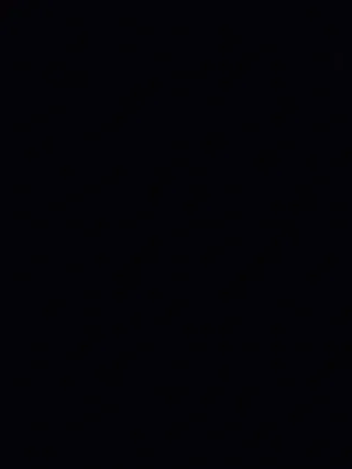 Zapatillas usadas por LeBron James