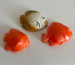 Colección Imanes Nevera Peces