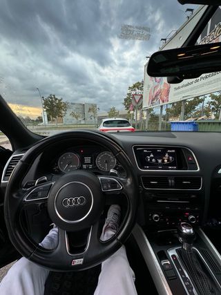 Audi SQ5 2013