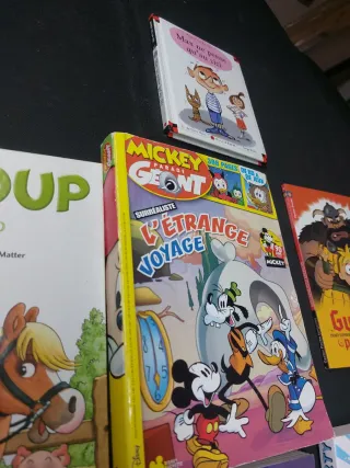 Lote libros en francés