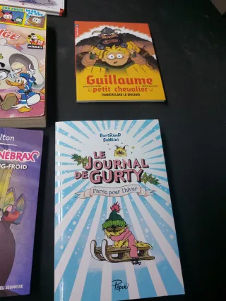 Lote libros en francés