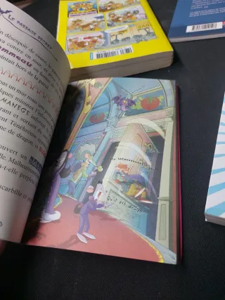 Lote libros en francés