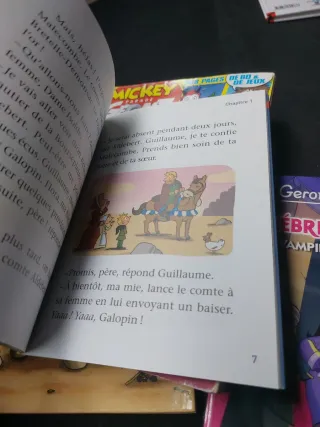 Lote libros en francés