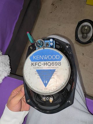 Altavoces Kenwood Ovalados Coche