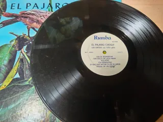 Vinilo El Pájaro Choqui - Los Kintos con Tito Lara