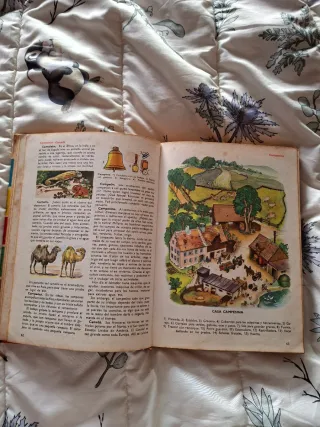 Libro educativo infantil  Mundo Infantil