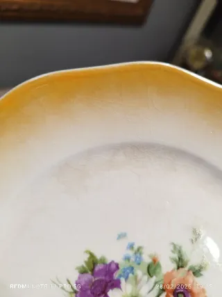 7 Platos vintage Postre Nacarados Florales