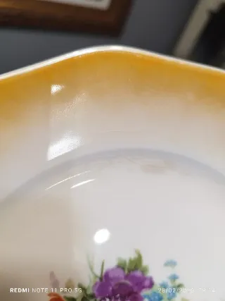 7 Platos vintage Postre Nacarados Florales