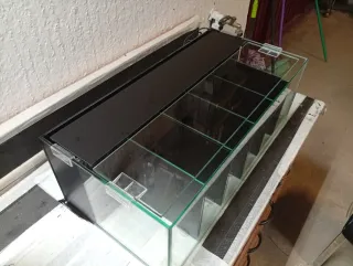 Acuario Betta 6 divisiones con bomba