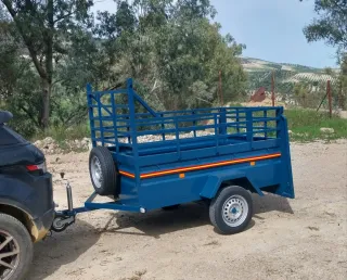 Remolque 200x130 1 eje doble puerta