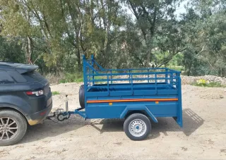 Remolque 200x130 1 eje doble puerta