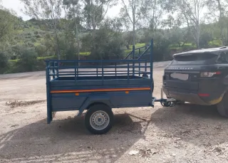 Remolque 200x130 1 eje doble puerta