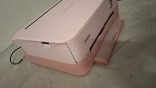 Impresora Canon Pixma TS5352 Rosa