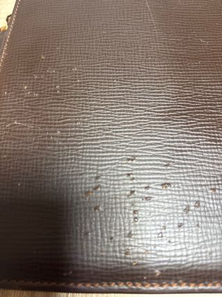 Maletín Loewe Piel Marrón