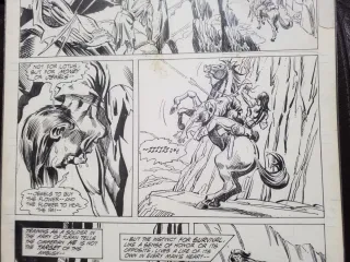 Pagina Original Frank Springer y Don Perlin Conan