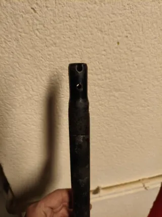 Tija Monty César Cañas