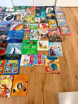 Livres en Français / Muchos libros en Frances