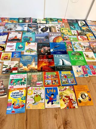 Livres en Français / Muchos libros en Frances