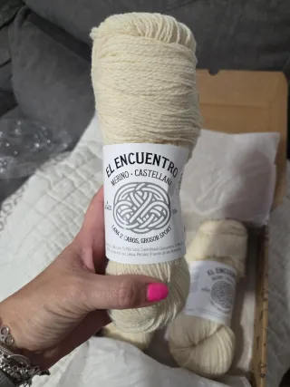 El Encuentro Lana Merino Castellana