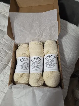 El Encuentro Lana Merino Castellana