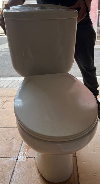 Lavabo y pedestal de porcelana + inodoro Roca