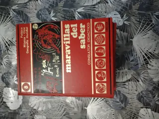 Maravillas Del Saber